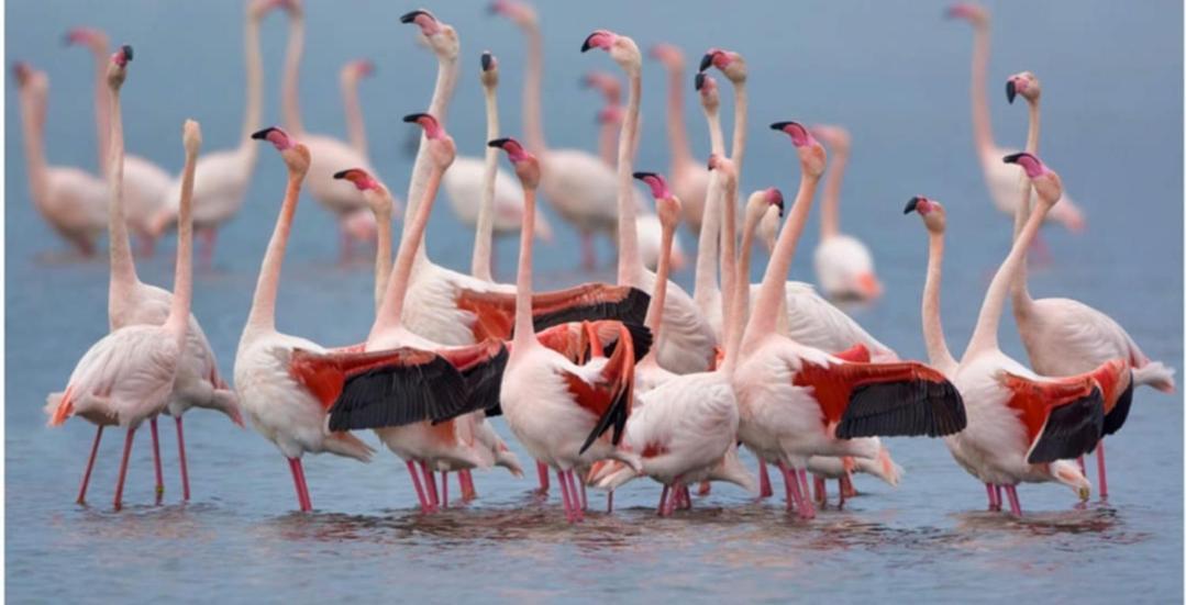 Coru E Bentu Villa Quartu SantʼElena Dış mekan fotoğraf